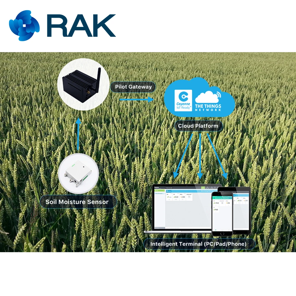 IoT решение LoRaWan enterprise kit smart farm LoRaWAN pilot gate way с Raspberry Pi 433/868/915/AS923 в TTN & мое
