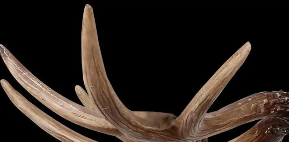 Европа страна 4 головки коричневая столовая рога люстры светильники подвесные