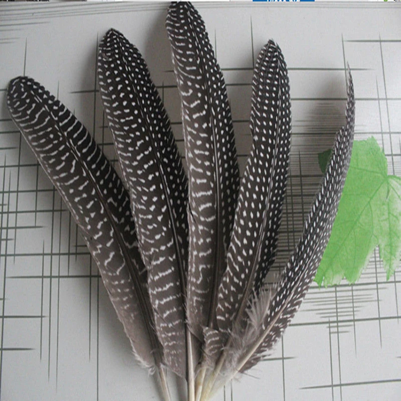 

Beautiful! Natural 10 pcs guinea fowl feather wings 15-20 cm / 6 to 8 inches long