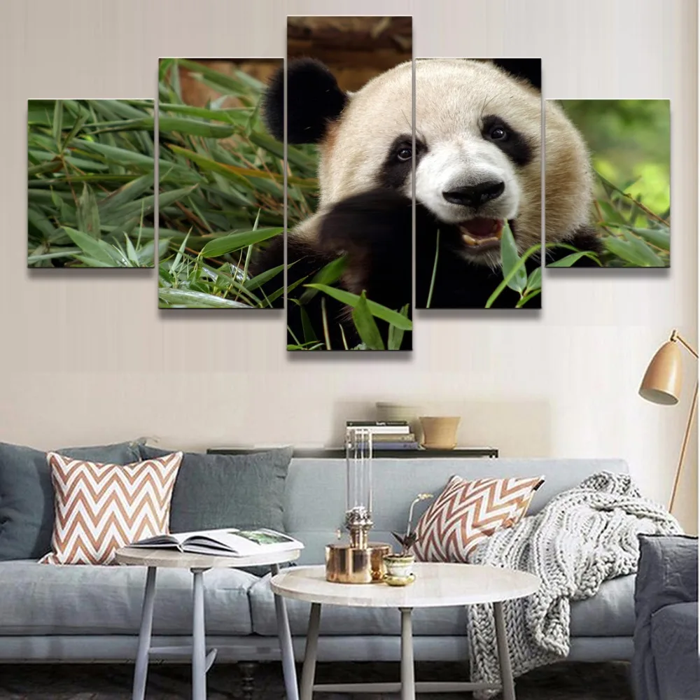 5 шт. декоративная картина HD с животными панда|modular pictures|painting animalprints painting |