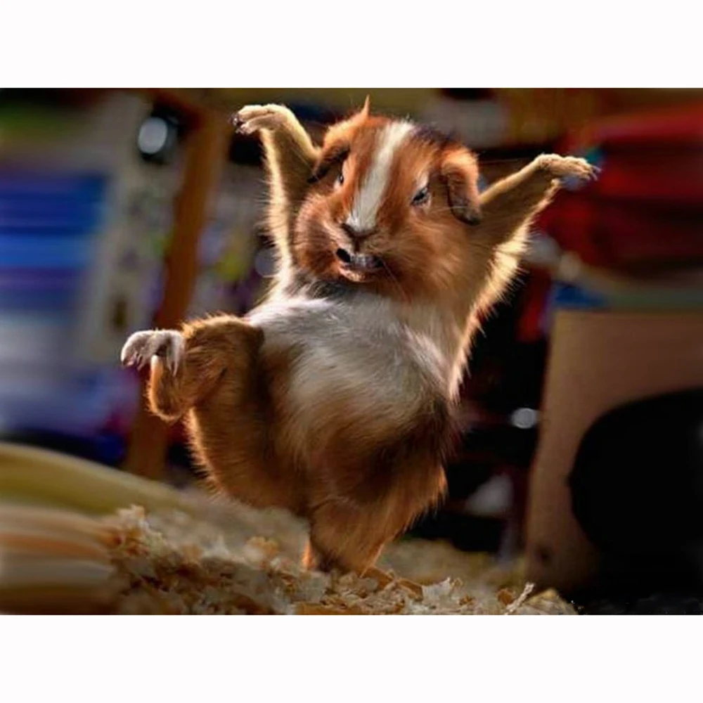 Алмазная 5d Вышивка сделай сам картина из страз Морская Свинка вышивка крестиком