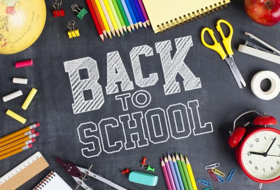 Laeacco Back To School цветная доска мел сцена для детской фотосъемки настенный