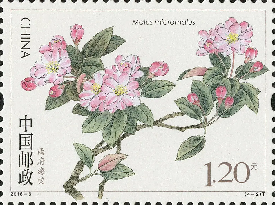 Новый китайский почтовый штамп 2018 6 китайское цветение Crabapple бегония цветы 4 шт