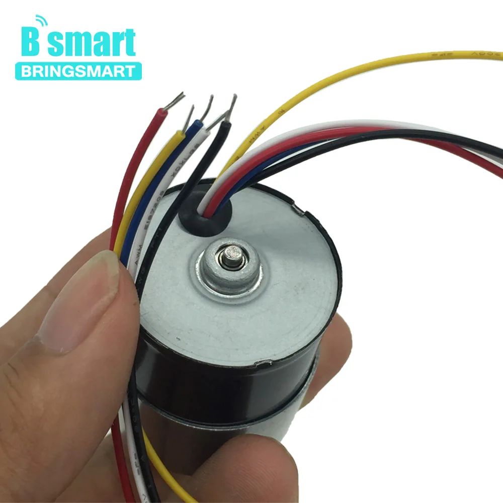 Bringsmart бесщеточный электродвигатель с регулируемой скоростью 12 В 24