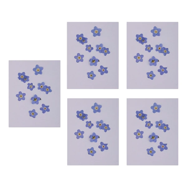 50 шт забудьте не настоящие сухие цветы для литья смолы украшения