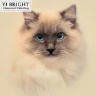 Горячая полная квадратнаякруглая дрель 5D DIY Алмазная картина 