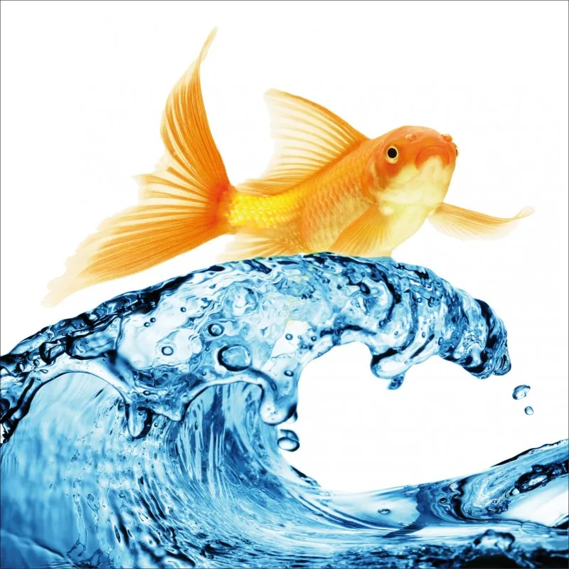 Оптовая продажа 3D абстрактные рыбы на волны посудомоечная машина холодильник