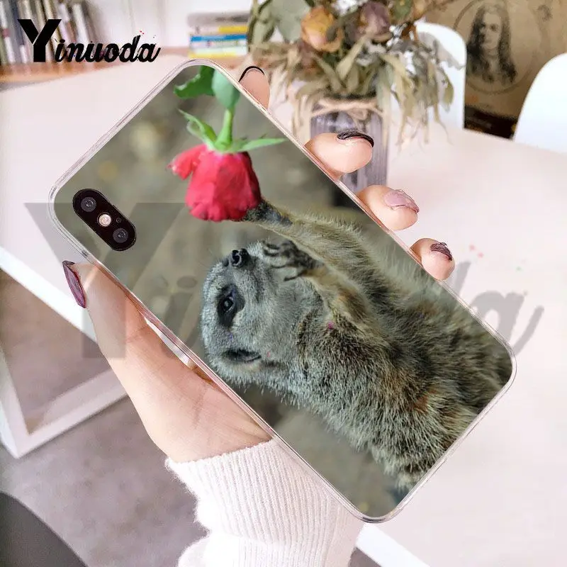 Чехол Yinuoda для iphone 7 6 X прозрачный чехол с изображением животных из серии meerkats iPhone 8
