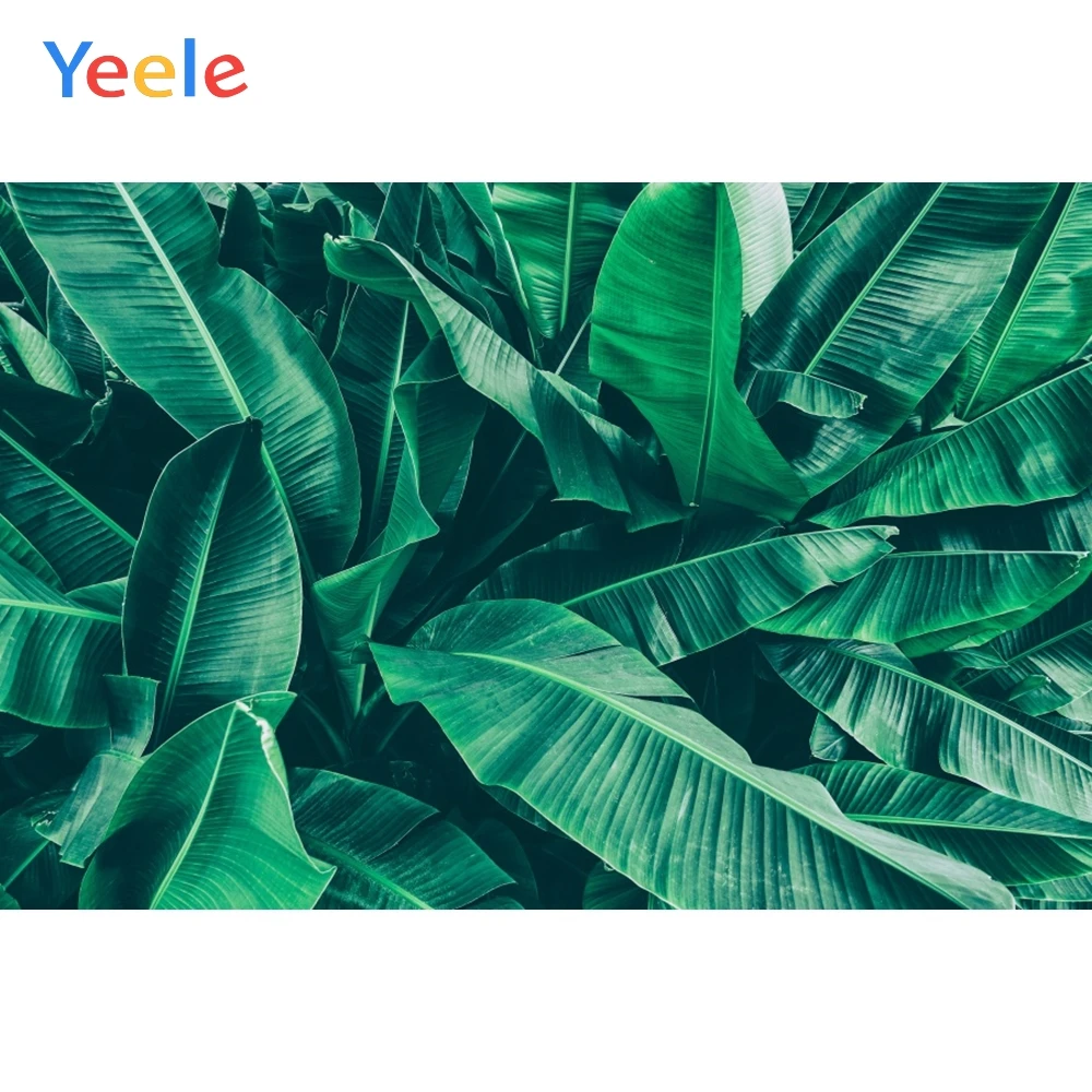 

Yeele тропические бананы деревья зеленые листья Летняя Вечеринка фотография искусственные индивидуальные фоны для фотостудии