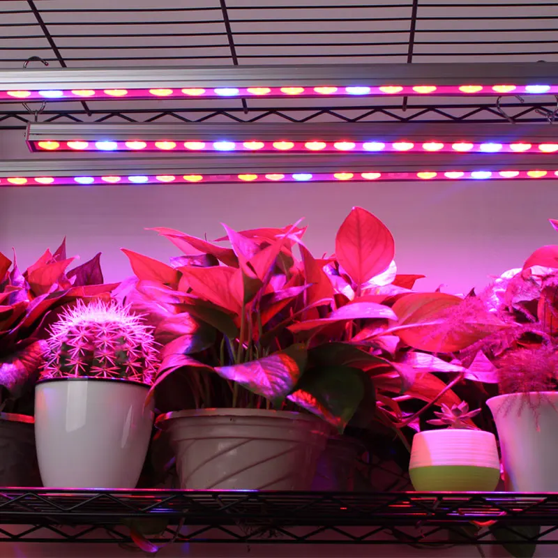 5 шт./лот IP65 Водонепроницаемый 54 Вт Led Grow Light бар полоса для теплицы гидропоники