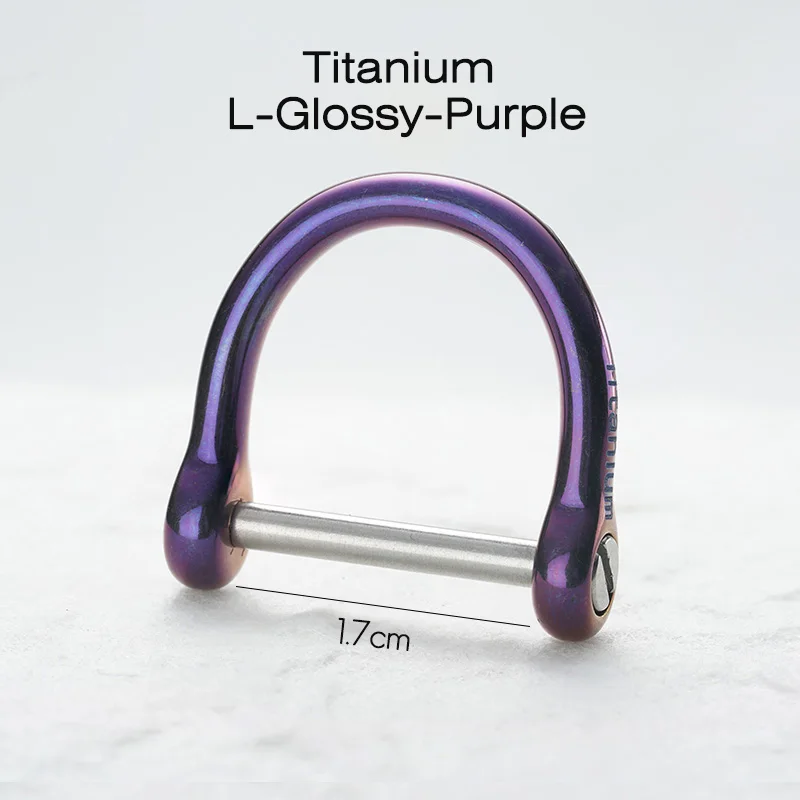 Titanium-L-G-P Настоящий титановый автомобильный брелок, пряжка подковы, легкий титановый брелок, цветные брелки, инструмент Quickdraw, креативный подарок бойфренду - Цвет: Titanium-L-G-P