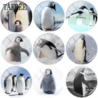 TAFREE черно-белые животные Пингвин картина 25 мм Сделай Сам стеклянный кабошон купол для брелока ожерелья Ювелирная фурнитура