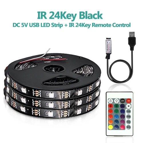 DC5V USB Светодиодная лента гибкий светильник 5050 RGB мини 3 ключа 17Key RF ИК пульт дистанционного управления лента IP65 50 см 1 м 2 м 3 м ТВ фоновый светильник ing - Испускаемый цвет: 24key IRremote Black