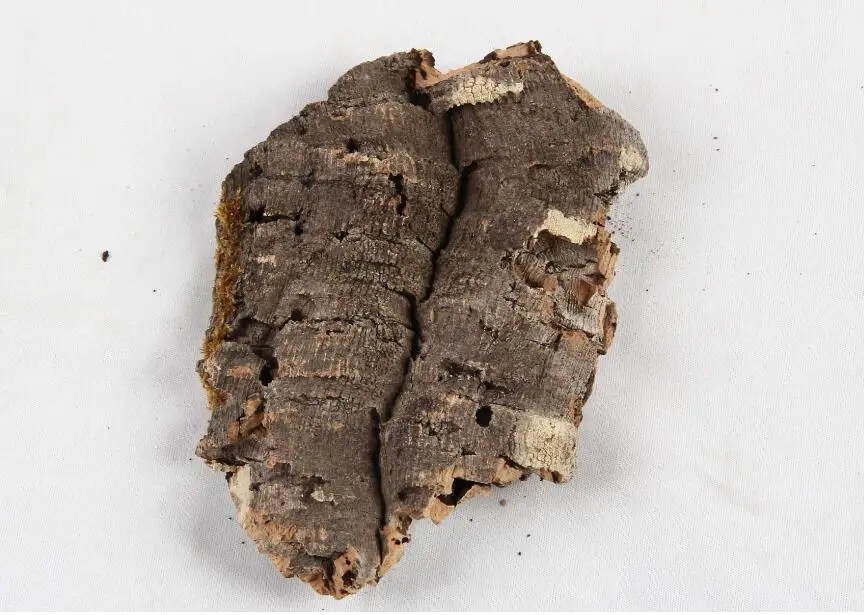 Натуральный кора скрыть укрытие для геккон ящерица змея рептилия лягушка