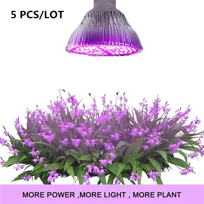 

5 шт. полный спектр Led Grow Light 8 Вт 10 Вт 30 Вт 50 Вт 80 Вт красная Синяя светодиодная лампа 5730 лампа для гидропоники цветы растения овощи