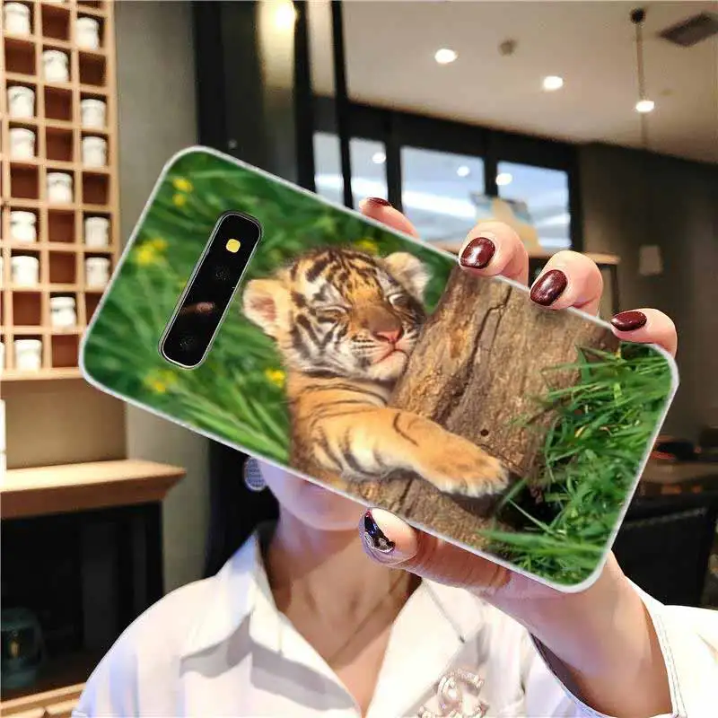Мягкий чехол для Samsung Galaxy S21 S20 S11 S10 S9 S8 Plus S7 Edge S10e Ultra nimal tiger Cub | Мобильные телефоны и