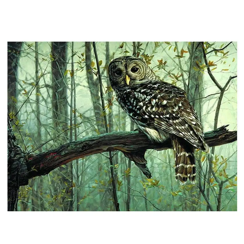 owl painting 33 Картины по номерам, настенные картины, украшения гостиной, лесная Сова Раскраска по номерам - Цвет: owl painting 33