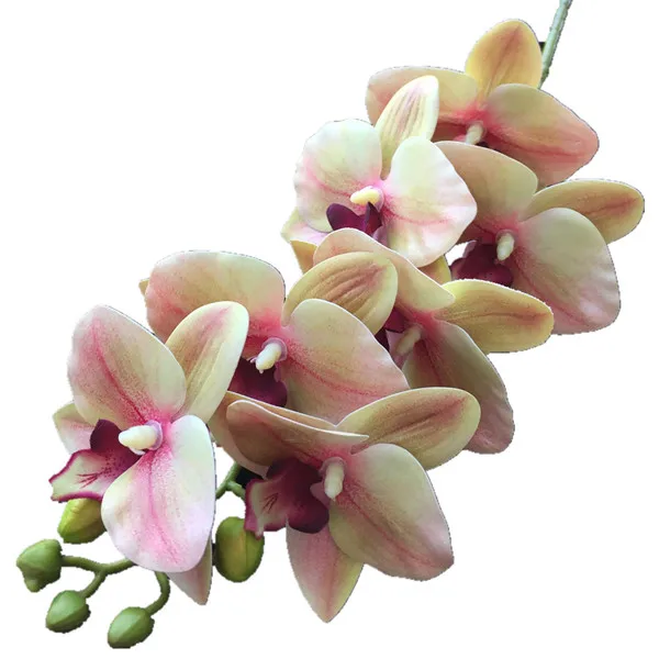 pale pink 002 10 шт. реальный сенсорный цветок орхидеи Искусственный цимбидий ПУ 3D печать эффект фаленопсис орхидеи для искусственных декоративных цветов - Цвет: pale pink 002
