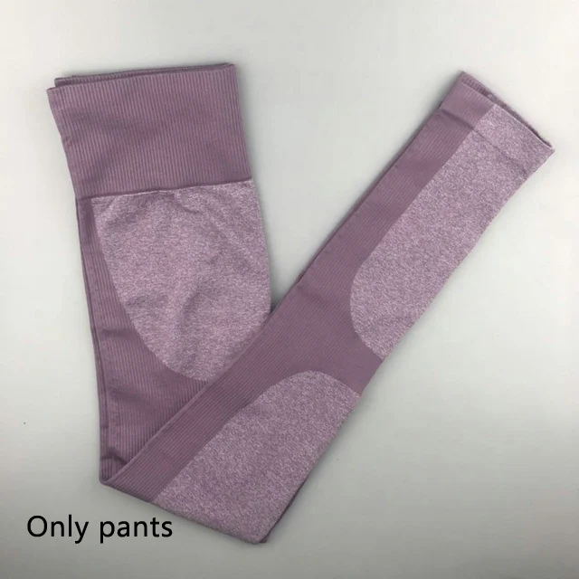 purple pants 2 шт., энергетический бесшовный Набор для йоги, одежда, леггинсы+ спортивный бюстгальтер тренировочный костюм для занятий йогой, Женский комплект для фитнеса, одежда для активного бега - Цвет: purple pants