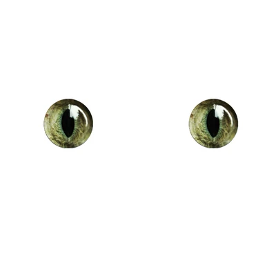 C BJD eyes 14mm Cartoon eye pressure 10-16-24mm cat eye shape for 1/8 1/6 1/4 1/3 BJD SD DD doll eyes doll accessories - Color: C