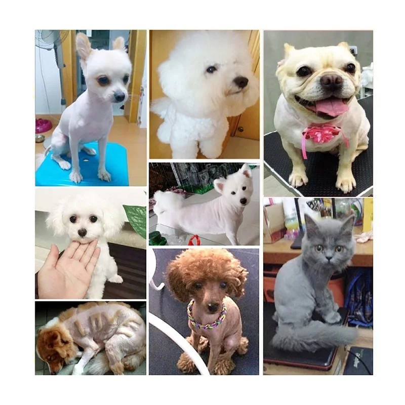 Машинка для груминга домашних животных с низким уровнем шума триммер шерсти