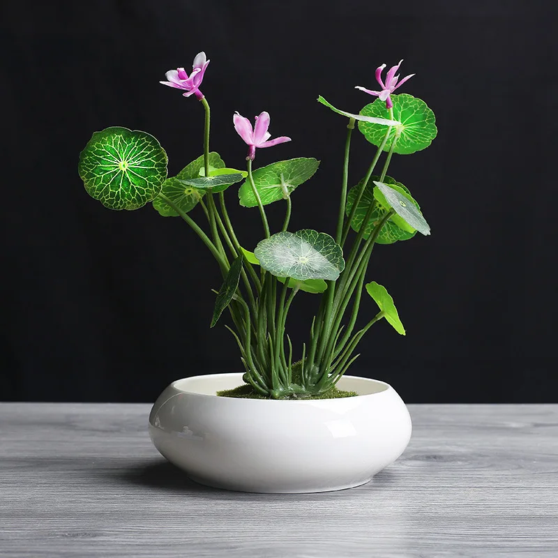 Керамическая чаша для растений белая керамическая в форме лотоса гостиной