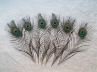 100pieceslotsmall eye peacock tail feathers 25 to 30cm in lengthcheap peacock featherscheap feathers