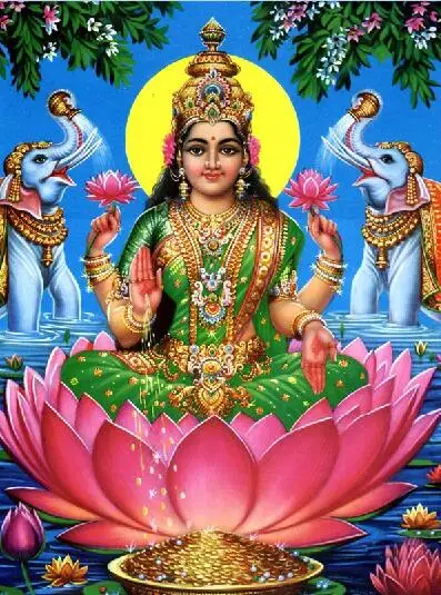 TOUOILP 5D Сделай Сам 5d Lakshmi Алмазная картина полный 5d алмазная вышивка распродажа набор крестиков Стразы мозаика садовый декор - Цвет: 13