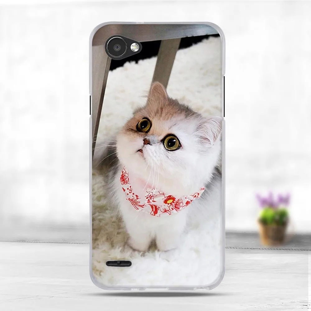 Чехол для lg Q6 чехол силиконовый Мобильный чехол для телефона для lg Q6 Alpha чехол Мягкие Чехлы из ТПУ для lg Q6 плюс M700N lg q6 сзади чехол s класса люкс