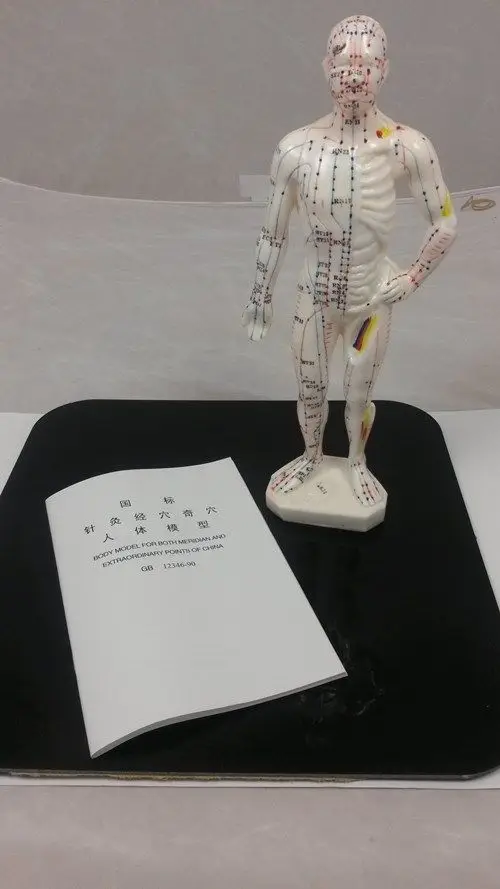 Акупунктурная точка для тела 26 см модель из ПВХ искусственных фотографий