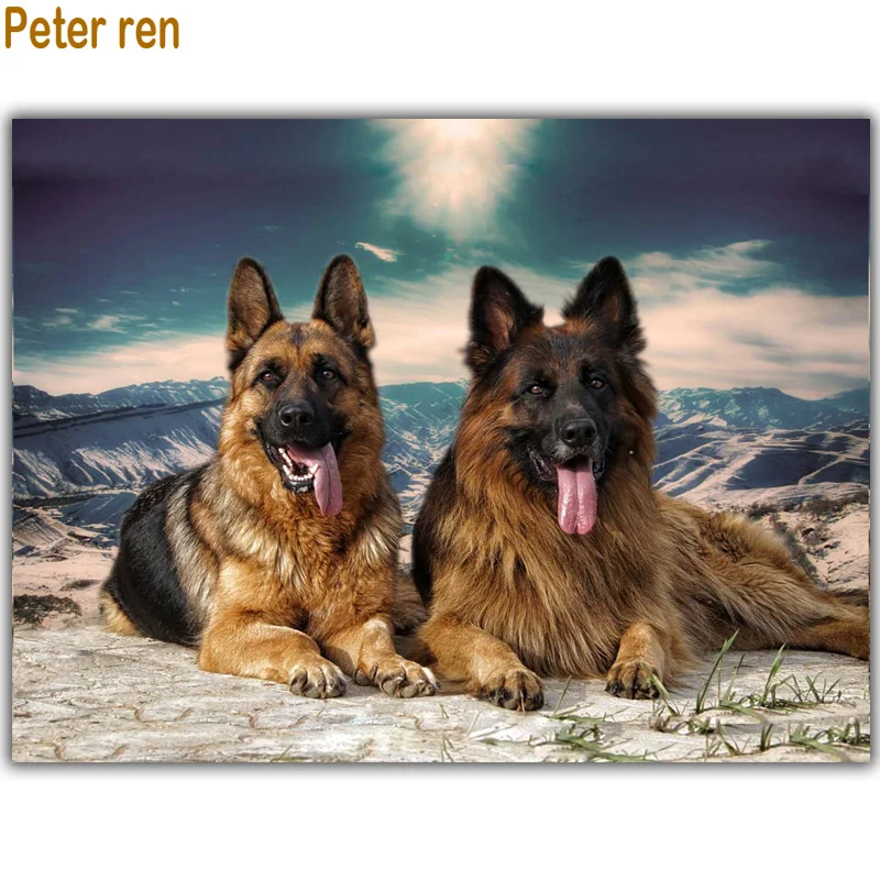 

Peter ren DIY Diamond painting animal 5d square Diamond mosaic icon full Diamond embroidery Crafts hobby decorative Two dogs