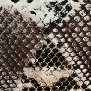 Brown Snake print ; Suphini; пикантные танцевальные сапоги со змеиным принтом; женские танцевальные сапоги в Аргентине - Цвет: Brown Snake print