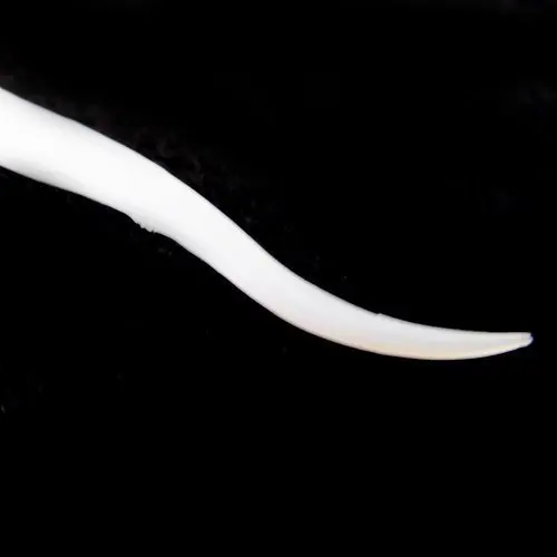 75 шт. зубная Флоссер с экономичной загрузкой ручка для зубочистки личная