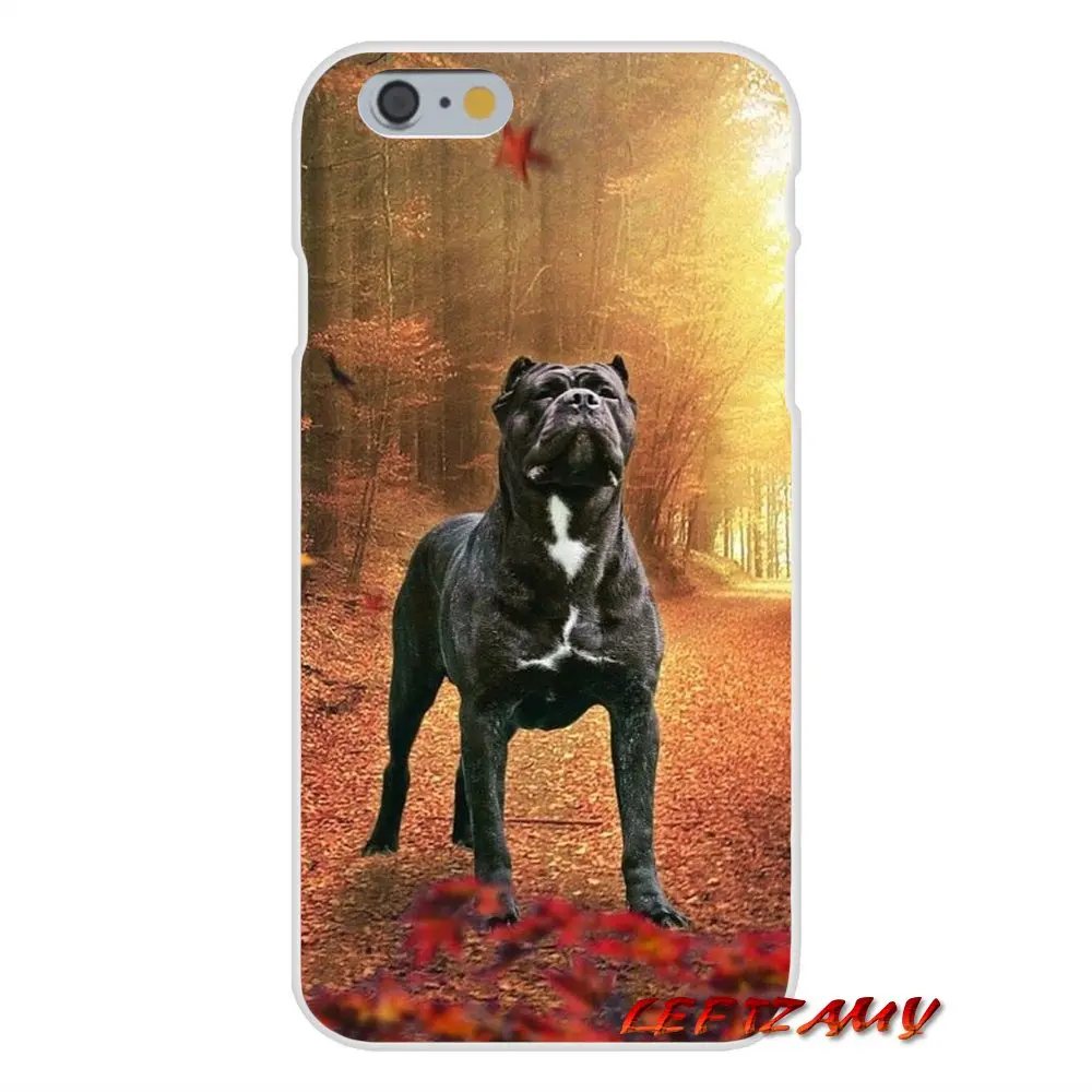 Итальянские собаки трость Корсо мастиф для iPhone X XR XS MAX 4 4S 5 5S 5C SE 6 6S 7 8 Plus Аксессуары