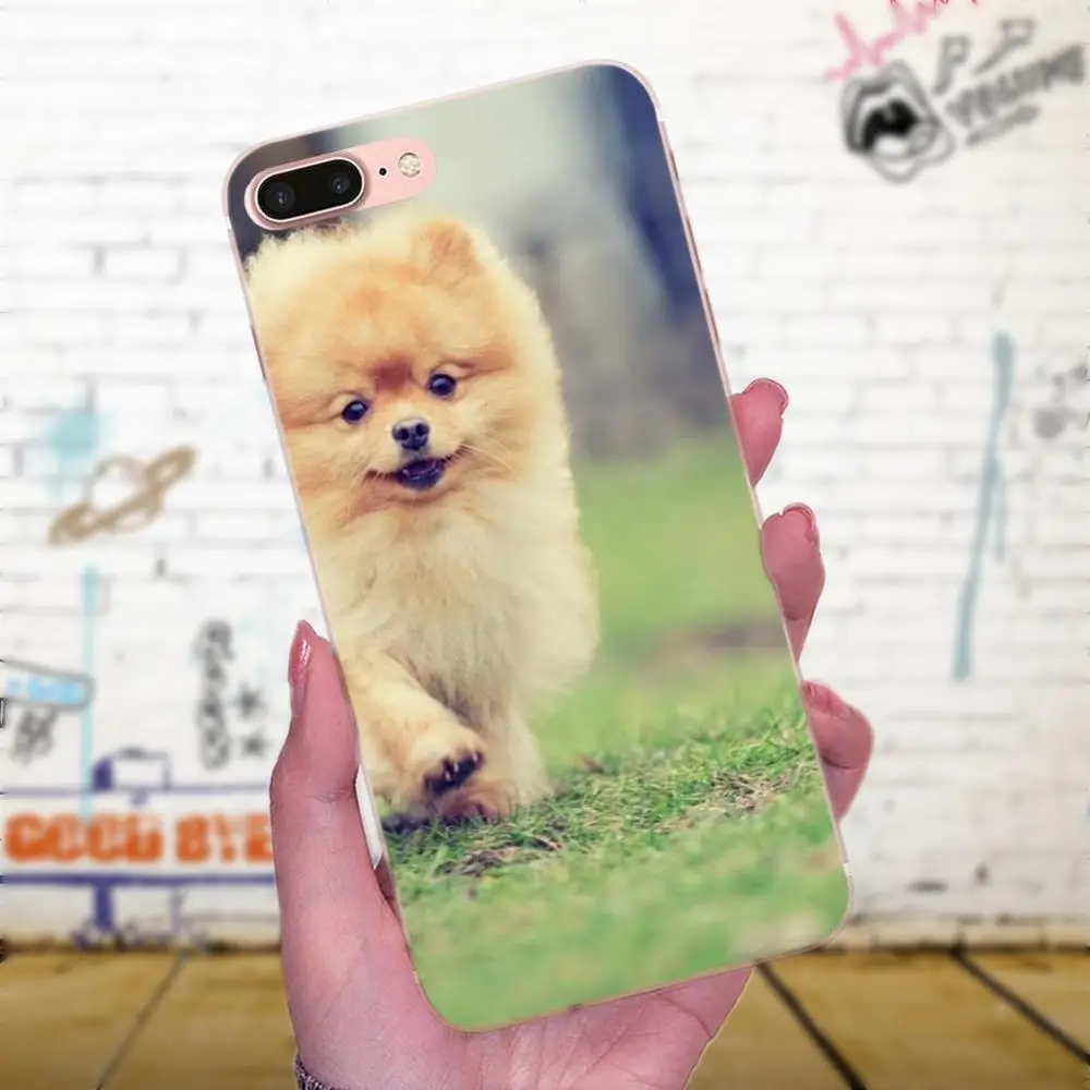 Pomeranian Dog Dogs For Galaxy J1 J2 J3 J330 J4 J5 J6 J7 J730 J8 2015 2016 2017 2018 mini Pro Top Detailed Phone Case | Мобильные
