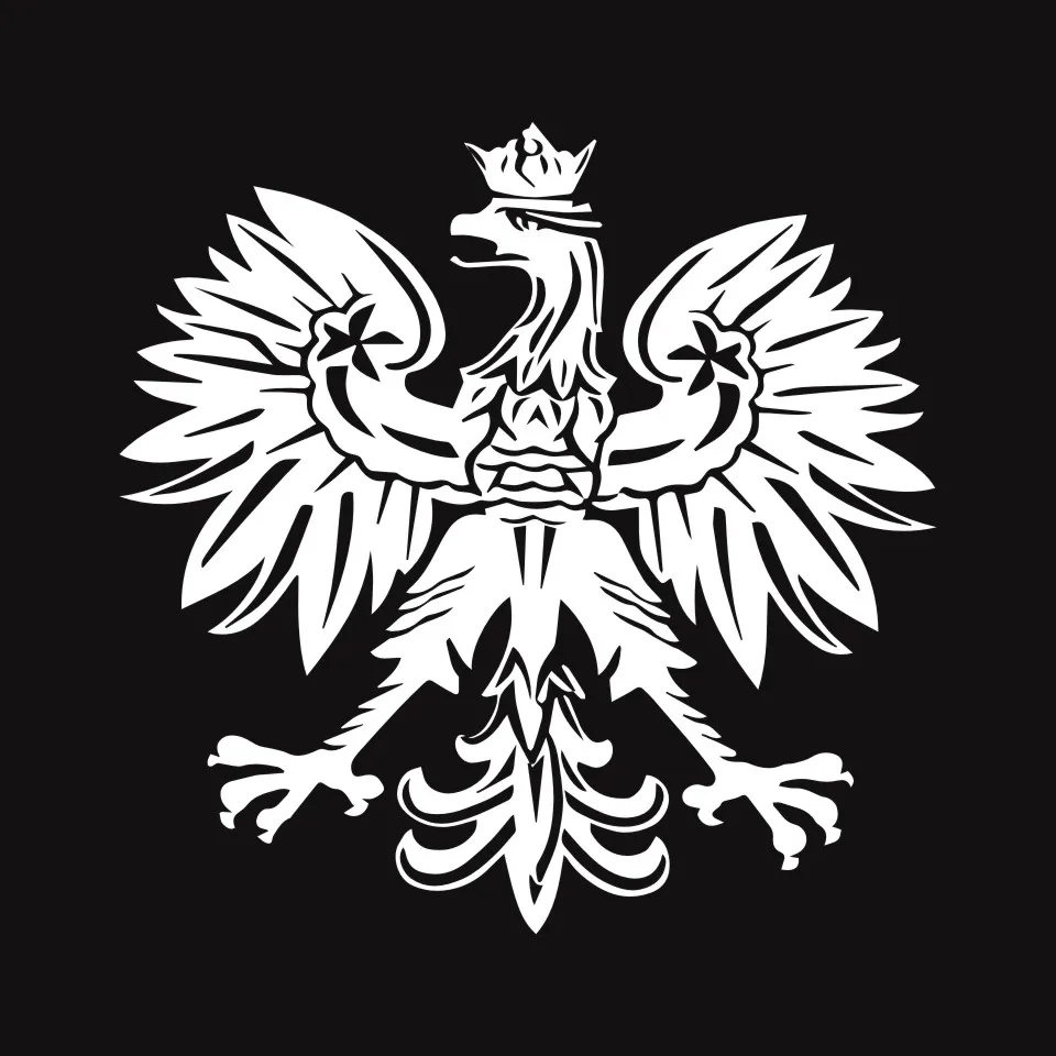 Anycuros польский Орел Польша символ модные наклейки для автомобиля животный узор Стайлинг наклейка черный/серебристый/лазер 15,2*15,1 см