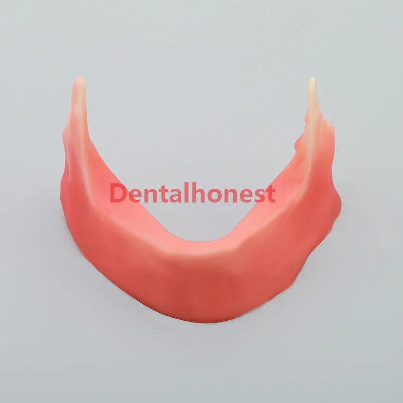 Mandibular модель челюсти с силиконовым конусом для прорезания растений sture M2027 |