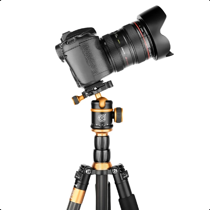 QZSD Q888C легкий штатив для цифровой видеокамеры DSLR монопод с быстроразъемным