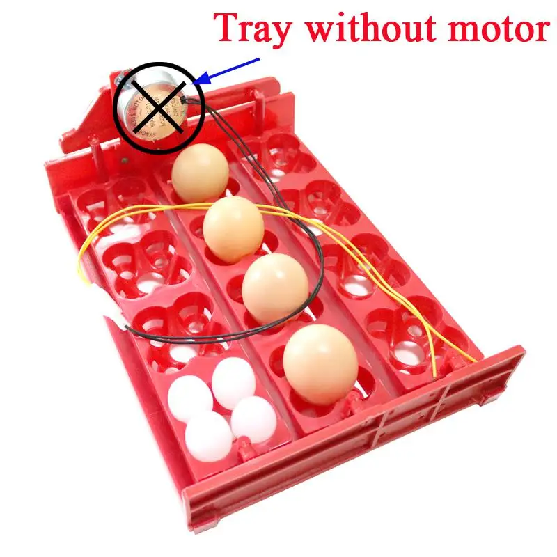 Without motor Мини инкубатор для разных яиц птиц на 220 вольт - Цвет: Without motor