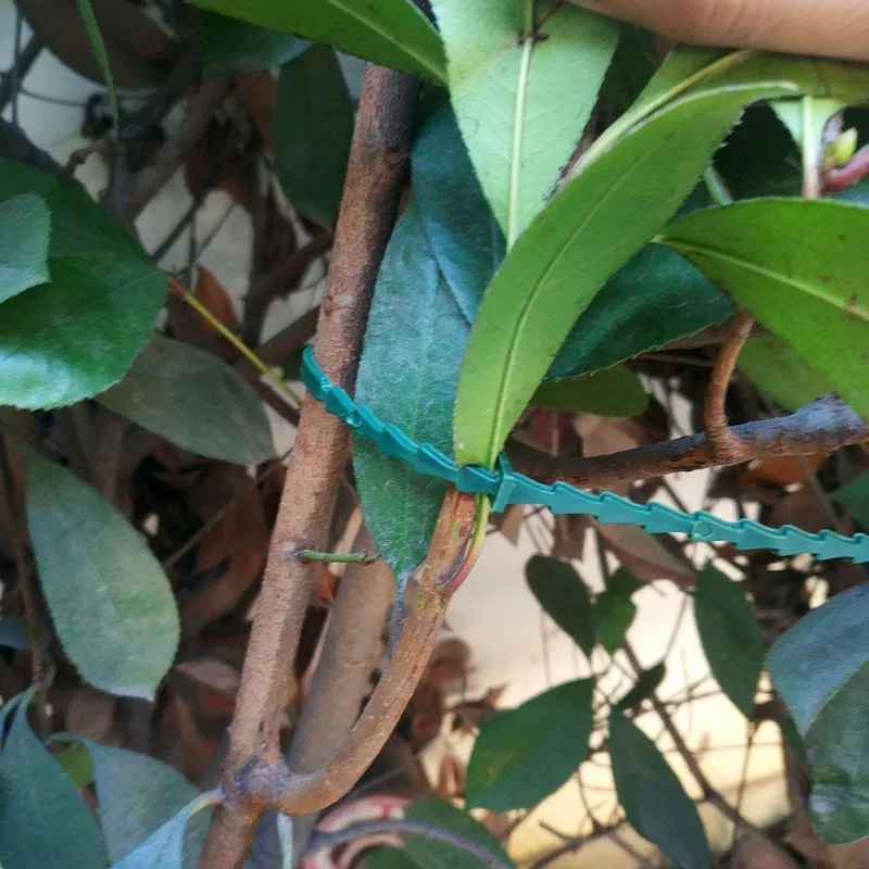

50/100pcs Adjustable Plastic Plant Cable Ties Reusable Cable Ties for Garden Tree Climbing Support Plant Vine Tomato Stem Clips