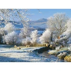 Камни в форме ромба дрель 5D DIY Алмазная вышивка зима снежное поле Алмазная вышивка крестиком на рисунке, стразы Мозаика Декор подарок