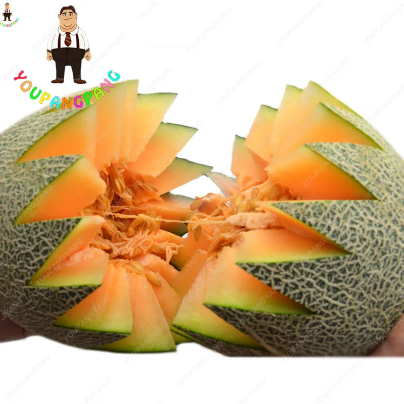 

20pcs Cantaloupe Melon plantas Bonsais delicious Vegetable fruit bonsai plants garden decoration planting Hami Melon