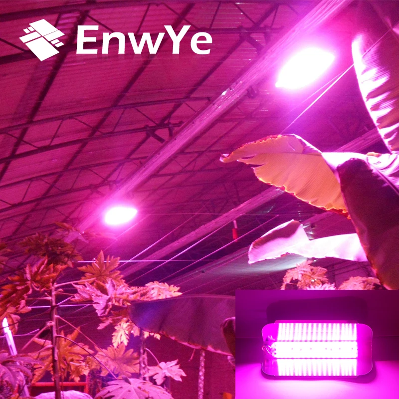 EnwYe 50 Вт 100 лампа для роста растений COB Светодиодная выращивания Phyto простой