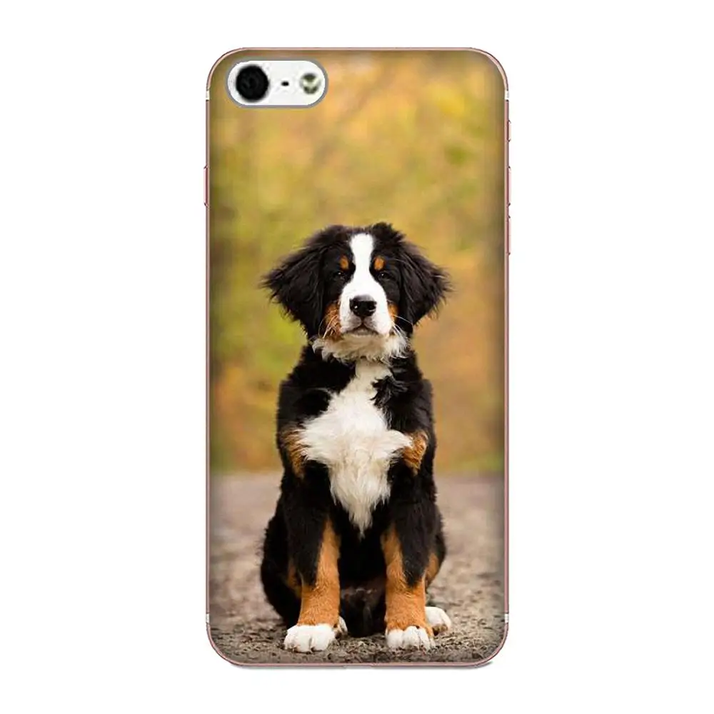 Популярный чехол Bernese Mountain Dog для Samsung Galaxy Note 5 8 9 S3 S4 S5 S6 S7 S8 S9 S10 mini Edge Plus Lite |
