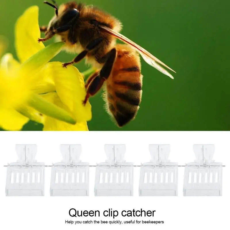 

5 шт. пластиковая королева ловля зажим ловушка для пчел клетка пчеловодство оборудование инструмент для пчеловодства