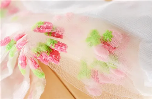 Носки для девочек до колена сетчатые носки половина детей Socken Chaussettes Enfants рюшами Носки kniekousen девочек 5 пар/лот dcll-032-5p