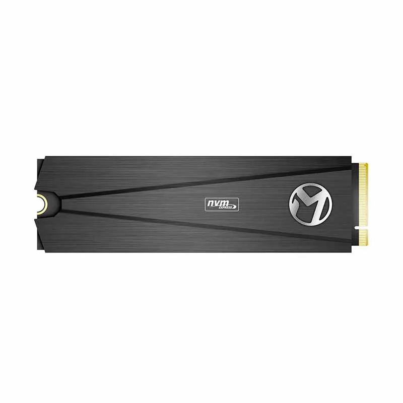 MAXSUN SSD m.2 240 ГБ ssd Мститель M.2-2280 480 1700 1900 МБ/с. PCIe m2 960 3D NAND Flash SMI 2263XT для рабочего стола