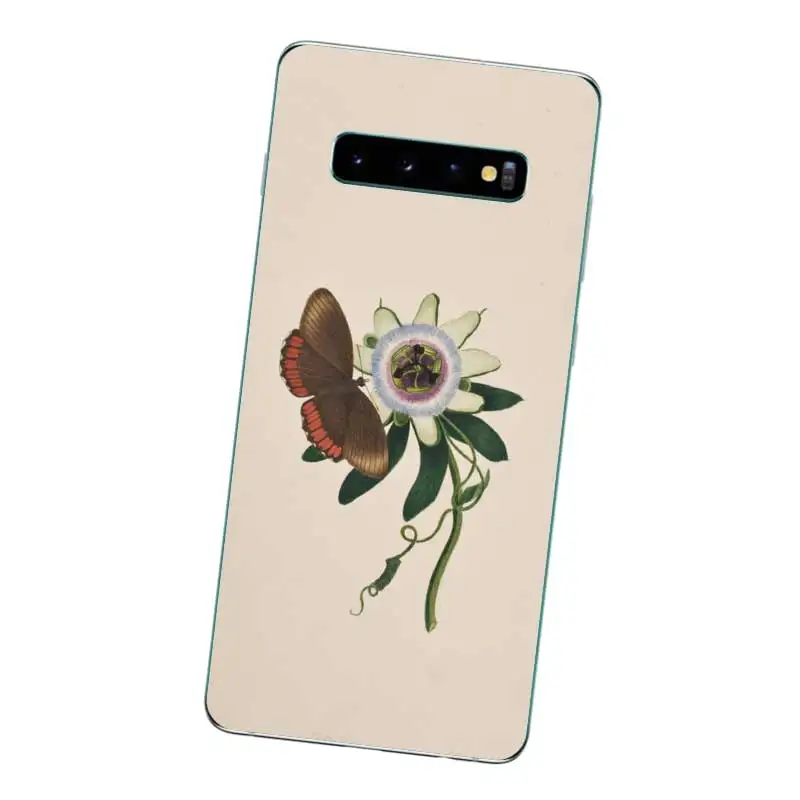 N277 кактус обои Мягкий ТПУ силиконовый чехол для Samsung Galaxy J2 J3 J4 J5 J6 J7 J8 Pro Plus Prime 2018 2017