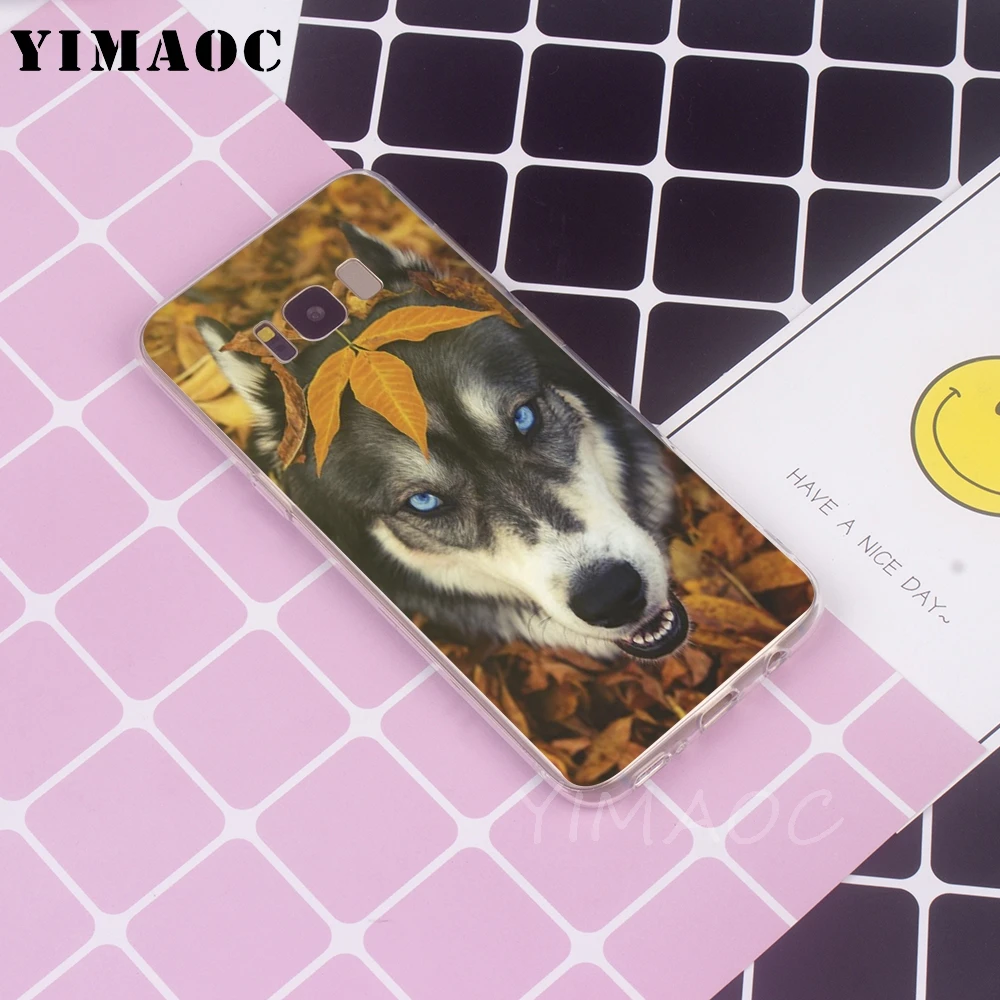 YIMAOC Cute dog cat Soft TPU Case for Galaxy j3 j5 j6 j7 A5 2016 2017 A6 A9 2018 Note 8 9 S7 edge S8 S9 S10 Plus S10e Cover |