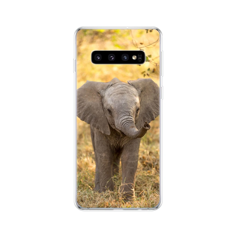 Чехол для Samsung Galaxy S10 s10 + силиконовый чехол из ТПУ Plus copa G975F S 10 телефона|Бамперы| |